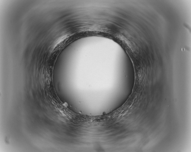 X0000098081064200804181153