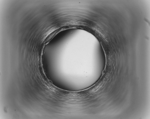 X0000098081065200804181153