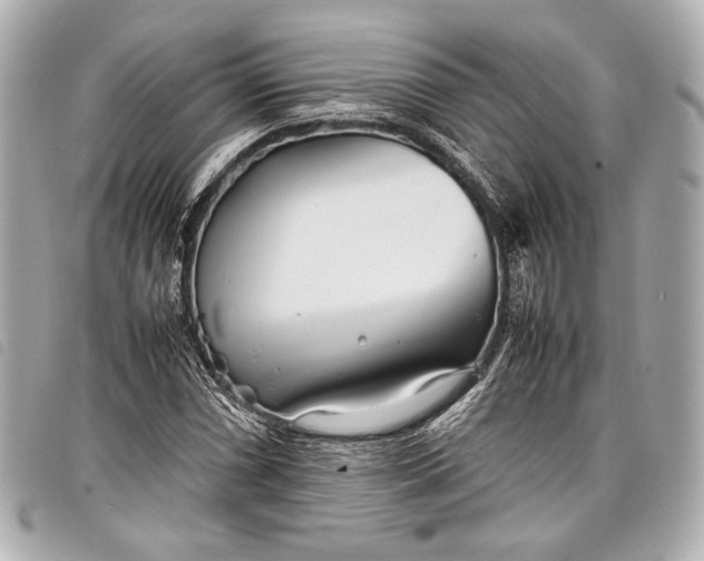 X0000098081066200804181153