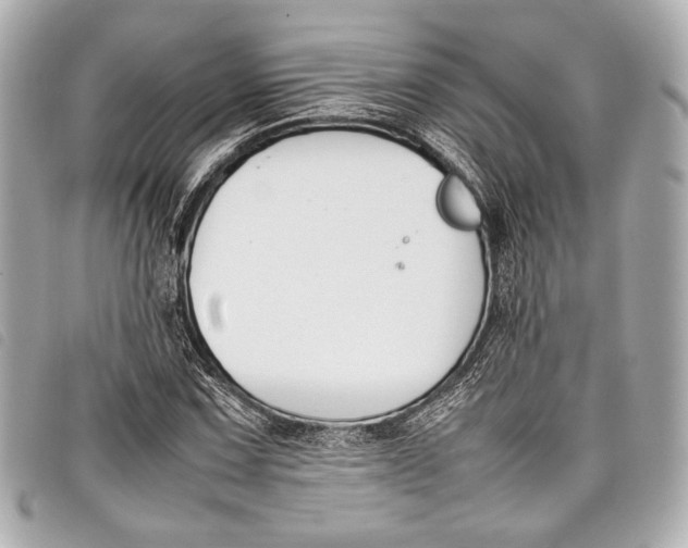 X0000098081067200804181153