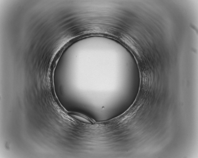 X0000098081068200804181153