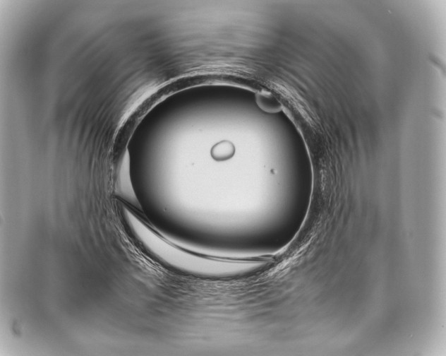 X0000098081069200804181153