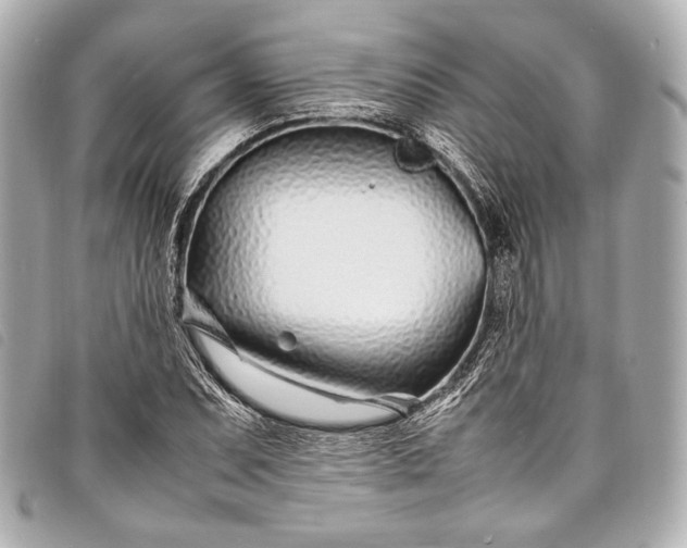 X0000098081071200804181153