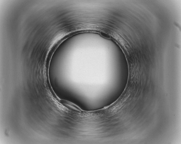 X0000098081072200804181153