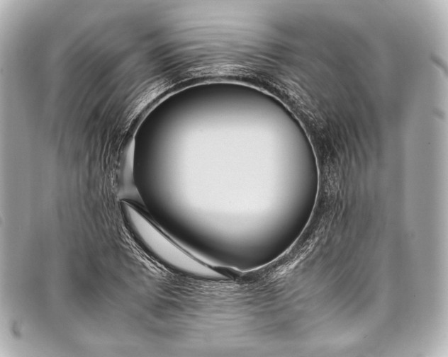 X0000098081073200804181153