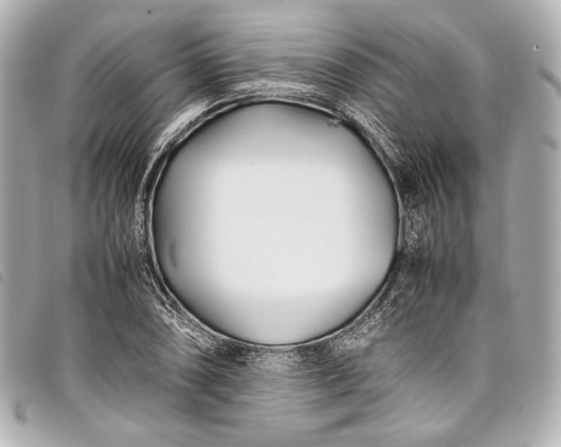 X0000098081074200804181153