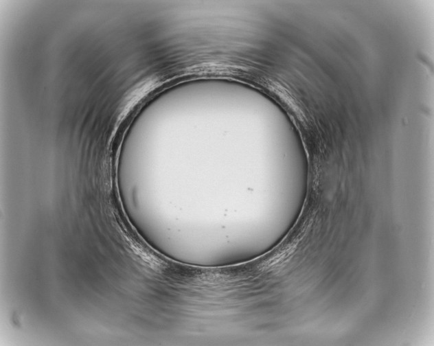 X0000098081075200804181153