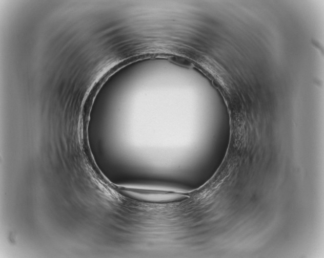 X0000098081076200804181153