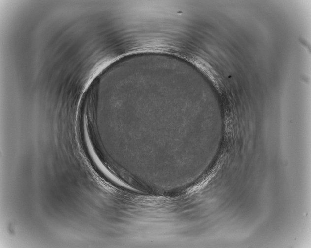 X0000098081077200804181153