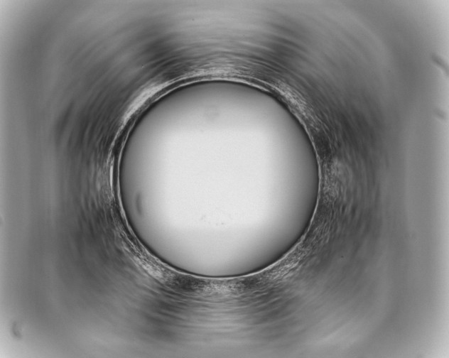 X0000098081078200804181153