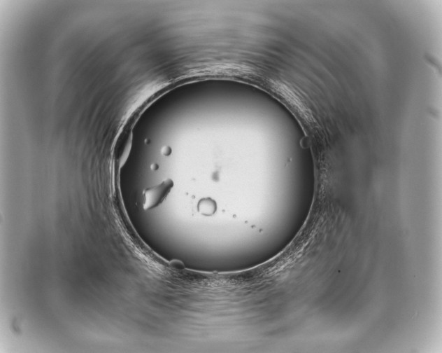 X0000098081079200804181153