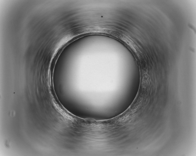 X0000098081080200804181153