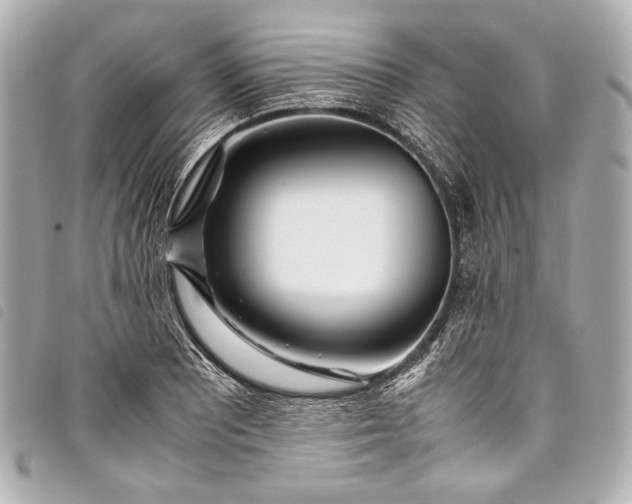 X0000098081081200804181153