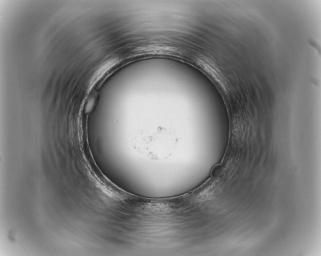 X0000098081082200804181153