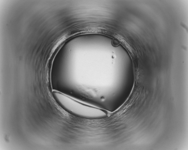 X0000098081083200804181153