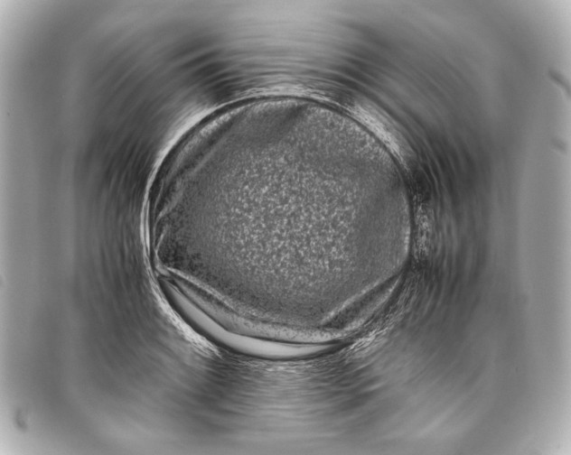 X0000098081084200804181152