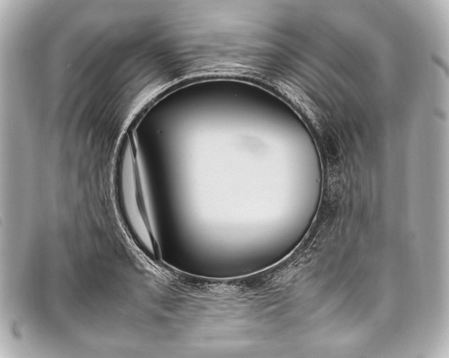 X0000098081085200804181152