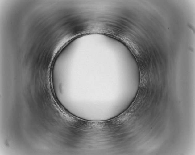 X0000098081086200804181152