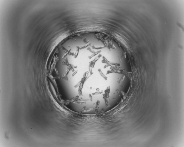 X0000098081087200804181152