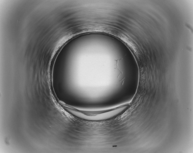 X0000098081088200804181152