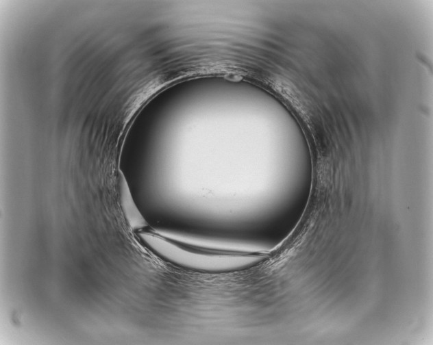 X0000098081089200804181152