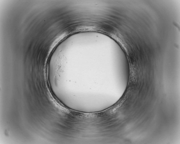 X0000098081090200804181152