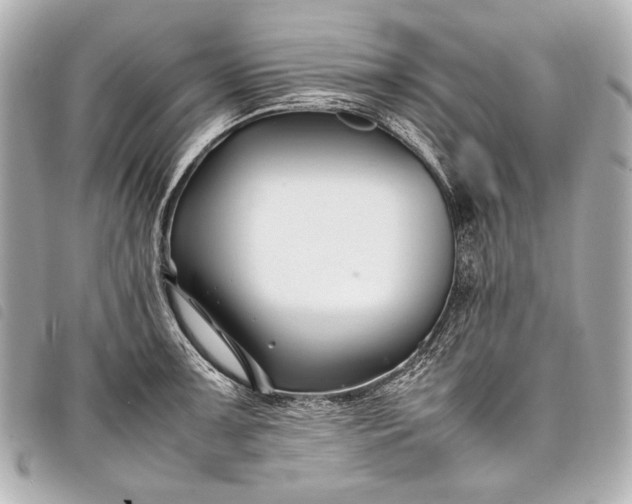 X0000098081091200804181152