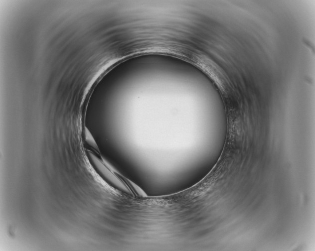 X0000098081092200804181152