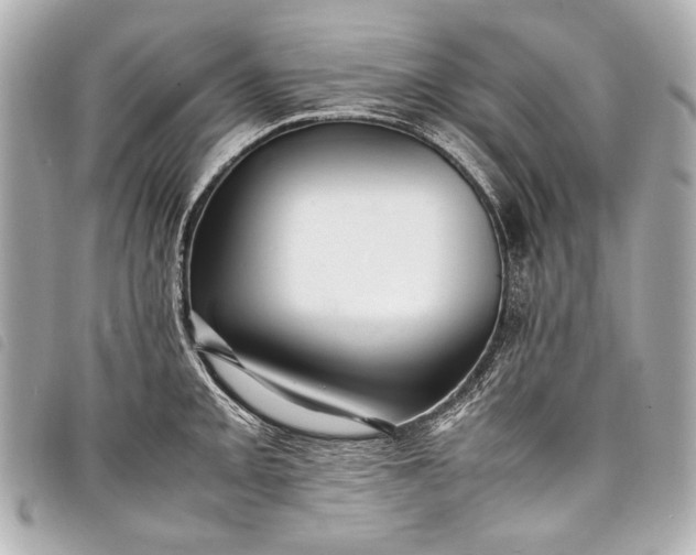 X0000098081093200804181152