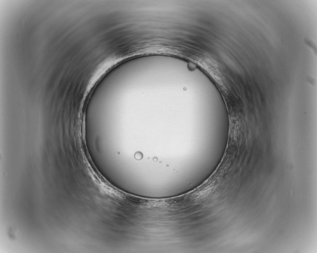 X0000098081094200804181152