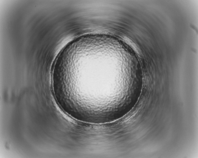 X0000098081095200804181152