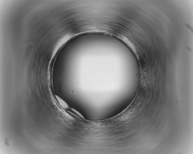 X0000098081096200804181152