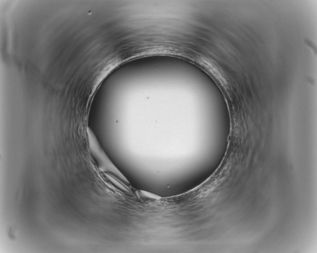 X0000098081097200804181152