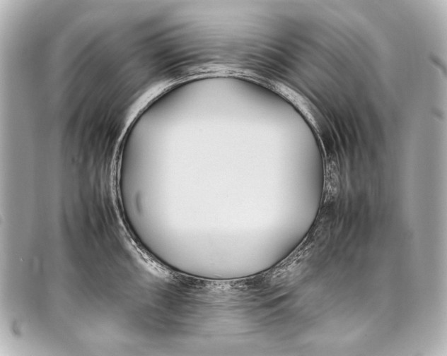 X0000098081098200804181152