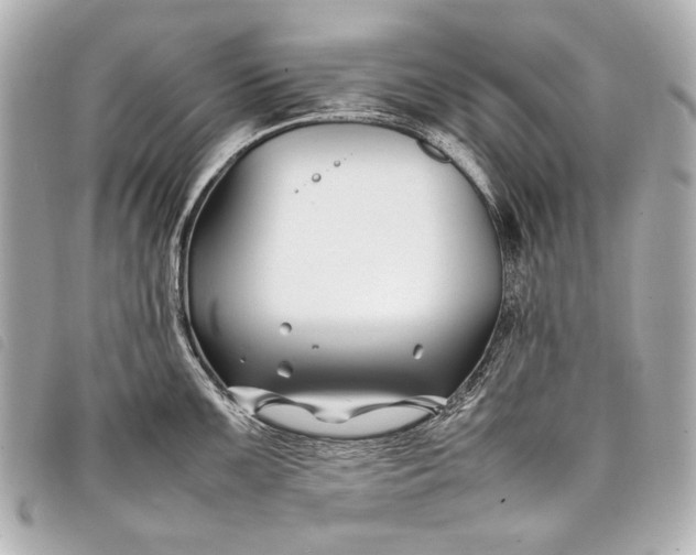 X0000098081099200804181152