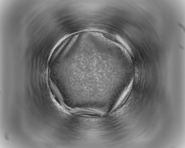 X0000098081100200804181152