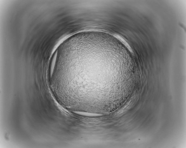 X0000098081101200804181152