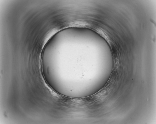 X0000098081103200804181152