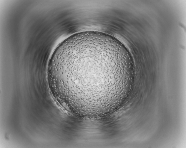 X0000098081104200804181152