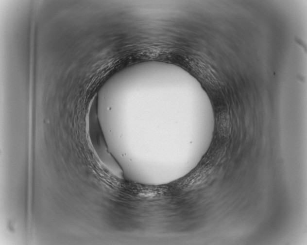 X0000098081105200804181151