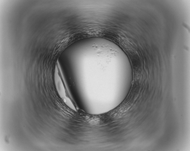 X0000098081106200804181151