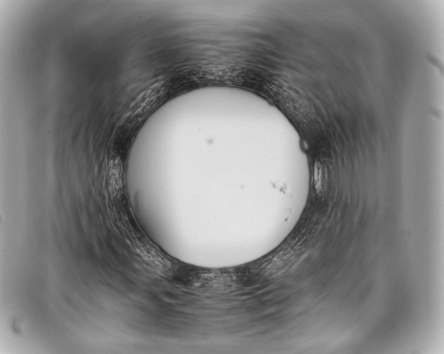 X0000098081107200804181151