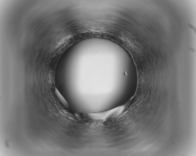 X0000098081110200804181151