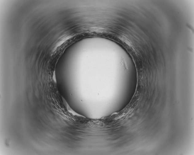 X0000098081112200804181151