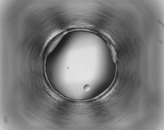 X0000098081114200804181151