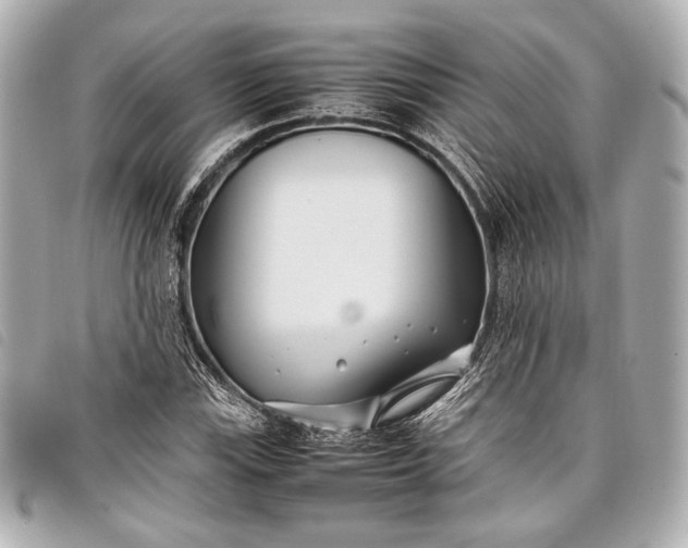 X0000098081115200804181152