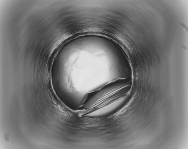 X0000098081117200804181152