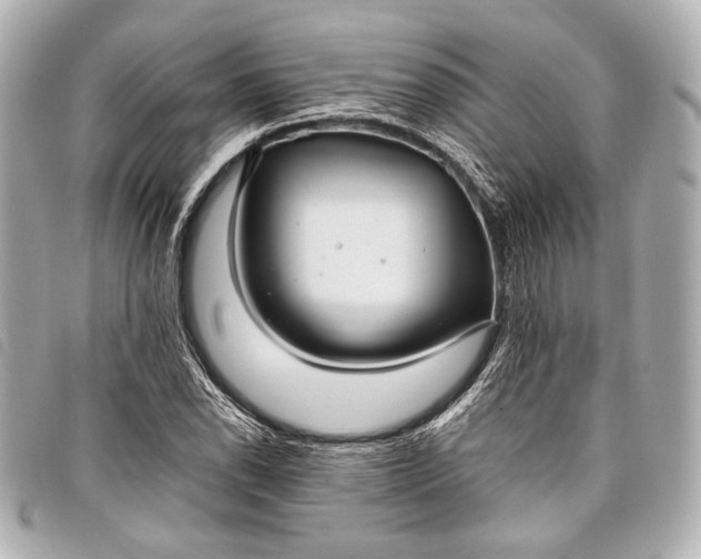 X0000098081118200804181152