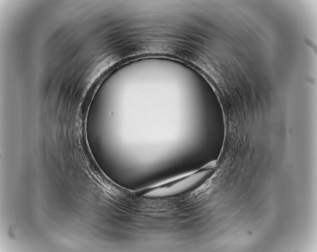 X0000098081119200804181152