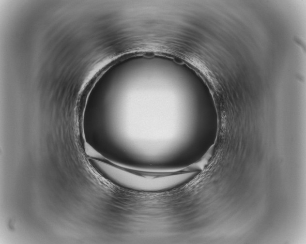 X0000098081120200804181152